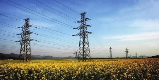 ******電網公司發布“碳達峰、碳中和”行動方案